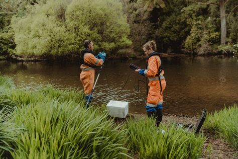 Environmental Consultant Aesthetic, Wildlife Biology, Field Research, Science Girl, Environmental Scientist, Conservation Biology, Wildlife Biologist, College Motivation, Environmental Studies