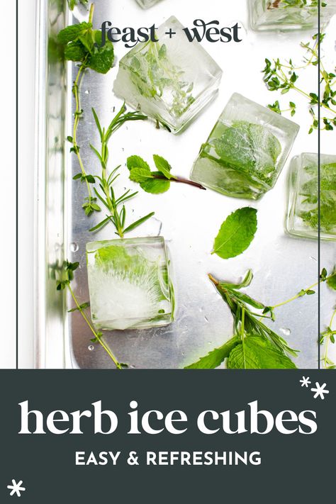 Herb ice cubes are a good way to wow your friends and family. Freeze fresh herbs inside ice cubes and add them to drinks! So festive and fun. Freeze Fresh Herbs, Freezing Fresh Herbs, Fruit Ice Cubes, Fancy Ice, Icee Recipe, Freezing Herbs, Flower Ice, Types Of Herbs, Dining Ideas