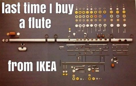 Flute Jokes, Flute Memes, Flute Art, Flute Problems, Marching Band Problems, Musical Jokes, Band Problems, Musician Humor, Marching Band Humor