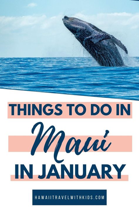 Best Things to do in Maui in January Things To Do In Maui, Hawaii In January, Top Things To Do In Maui, Must Do In Maui, Wailea Maui, Maui Snorkeling, Maui Activities, Maui Itinerary, Hawaii Things To Do