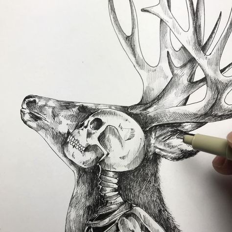 Deer Spirit Skull #drawing #alfredbasha #skull #deer #ink #illustration #tattoo Alfred Basha, Realistic Eye Drawing, Skeleton Drawings, Things To Draw, Your Spirit Animal, Summer Painting, Animal Silhouette, Nature Drawing, Drawing Videos