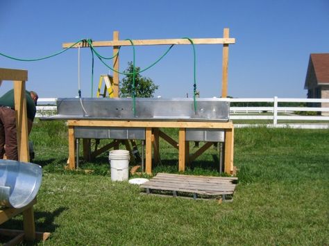 Homemade chicken butchering station Chicken Feeding Station Diy, Chicken Butchering Station, Diy Chicken Butchering Station, Home Butchering Station, Rabbit Butchering Station, Chicken Cooling Station, Meat Processing Room Ideas, Chicken Plucker, Chicken Processing