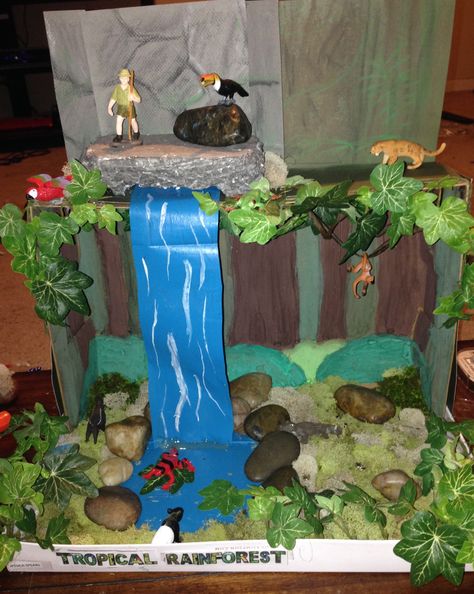 Shoe box diorama of the Rainforest my daughter (with help from me and her dad) made for school. Rain Forest Diorama, Shoe Box Diorama, Rainforest Crafts, Rainforest Project, Biomes Project, Diorama Kids, Diarama Ideas, Ecosystems Projects, Habitats Projects