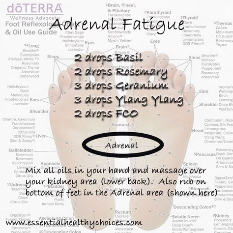 Essential Oils For Adrenal Support, Adrenal Fatigue Essential Oils, Lower Cortisol, Lower Cortisol Levels, Basil Essential Oil, Adrenal Support, Essential Oil Roller, Adrenal Fatigue, Cortisol Levels