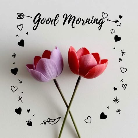 Good Morning Images Hd Beautiful, Good Morning Sunday Images, Special Good Morning, Happy Birthday Frame, Good Morning Flowers Quotes, Good Morning Images Hd, Good Morning Roses, Happy Birthday Photos, Good Morning Beautiful Flowers