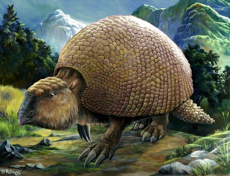 Glyptodon by PavelRiha Wildlife Documentary, Ground Sloth, Bird Facts, History Videos, Prehistoric World, Early Humans, Ancient Animals, Homeschool History, Paleo Art