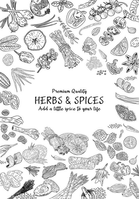 Hand drawn herbs and spices. Vector. Spice Illustration, Spices Illustration, Spices Vector, Tree Pencil Sketch, Herbs Illustration, Sign Writing, Herbs And Spices, Poster Ideas, Logo Banners