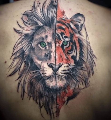 10 + Best Half Lion Half Tiger Tattoo Designs | PetPress Half Tiger Face Tattoo, Human Face Tattoo, Half Tiger Face, Lion Tattoo Ideas, Tiger Face Tattoo, Tiger Tattoo Design, Shiva Tattoo Design, Lion Tattoo Design, Warrior Tattoo