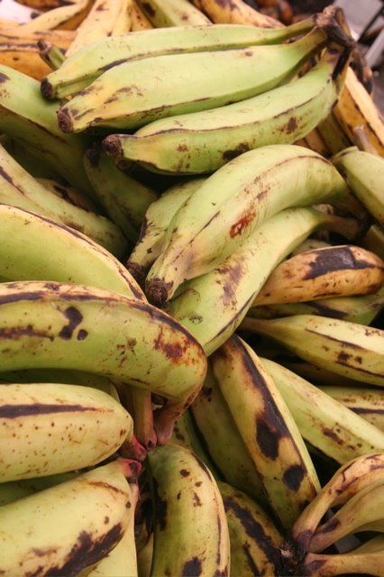 Plantains <3! Most of my weekend breakfasts involve these in some way Plantain Aesthetic, Jamaican Heritage, Caribbean Aesthetic, Jamaican Culture, Weekend Breakfast, Quick Saves