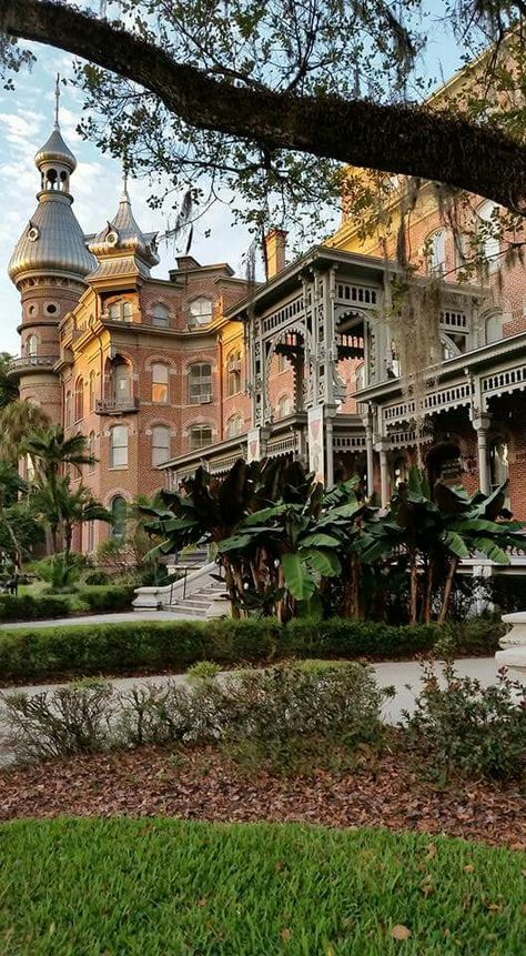 Notre Dame College, University Of Tampa, Colleges In Florida, College List, Florida Hotels, Dream College, Florida Girl, Adventure Bucket List, Dream School