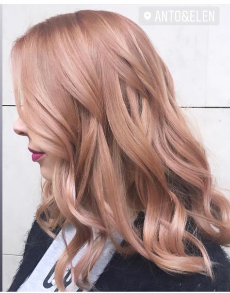 Rose Gold Money Piece Hair, Light Rose Gold Hair Blonde, Medium Rose Blonde Hair, Champagne Blonde Hair Rose Gold, Hair Inspiration Color Blonde, Rosegold Haircolor Blonde, Straight Rose Gold Hair, Light Pink Blonde Hair Rose Gold, Rose Gold Hair Blonde