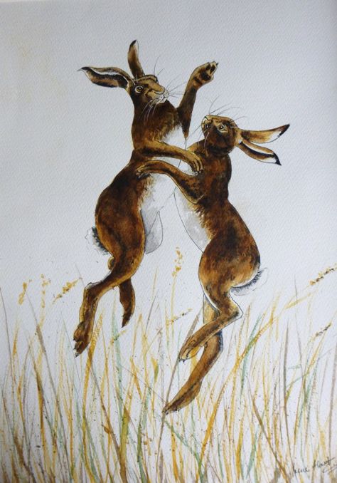 BOXING HARES - Irene Hart Boxing Hares Art, Delicate Drawings, Boxing Hares, Hare Illustration, Camping Holidays, Hare Art, Hare Print, World Mythology, Spring Images