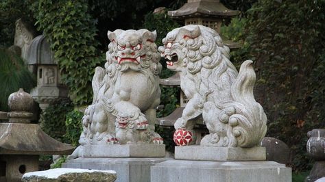 In our most recent blog we explore a cultural peculiarity of the island of Okinawa, the legendary Shiisaa statues. Learn more about the history, cultural significance and function of these stunning works of art at #nakamotoforestry #japaneseculture #shiisaa Stone Lion, Fu Dog, Japanese Dragon Tattoos, Japanese Dogs, Arte Alien, Lion Dog, Japanese History, Most Popular Dog Breeds, Japanese Characters