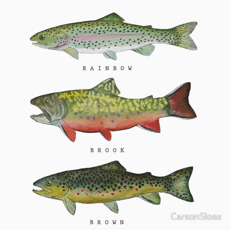 Trout Triad Trout Painting, Brown Trout, Sierra Nevada, Lino Print, Glossier Stickers, Hardcover Journals, Sale Poster, Vinyl Decal Stickers, Art Projects