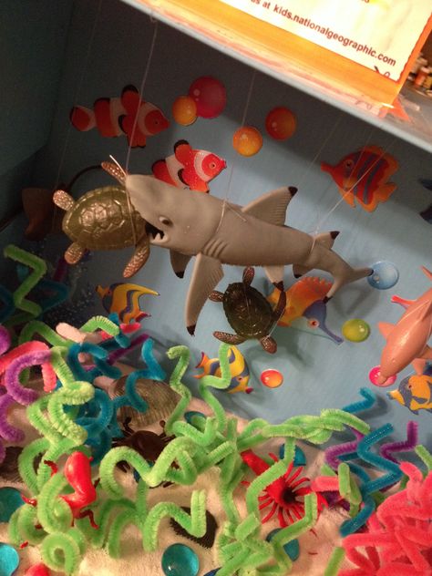 Carson's Bull Shark Ocean Diorama project Shark Diarama Ideas Kids, Ocean Diorama Project, Shark Diorama, Shark Project, Science Crafts For Kids, Class Party Activities, Ocean Diorama, Diorama Kids, Diorama Project