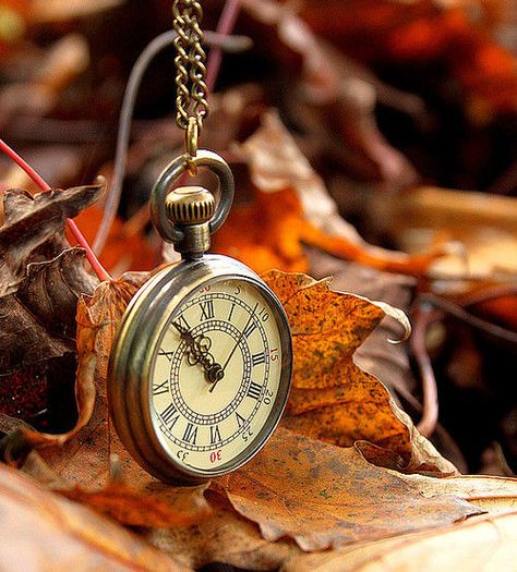 ...☆... . --------------------------------- Old Pocket Watches, Raindrops And Roses, Antique Pocket Watch, Old Clocks, Clock Art, Tick Tock, Ticks, Pocket Watch, Autumn Leaves