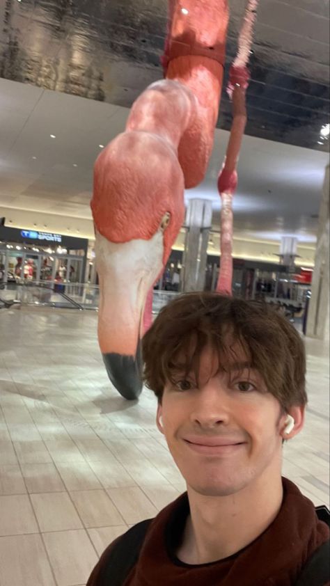 Silly Animal Pfp, Flamingo Albert Pfp, Albert Core, Unusual Poses, Flamingo Albert, Albert Aretz, Hot Youtubers, Albert Flamingo, Yabba Dabba Doo