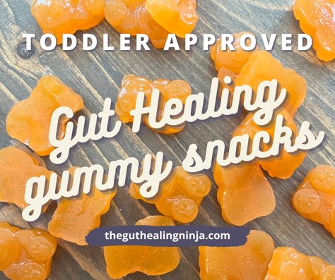 Gut Healing Gummy Snacks (Toddler Approved) — The Gut Healing Ninja Gummy Snacks, Gut Health Diet, Gut Healing Recipes, Healing Recipes, Food Baby, Baby Eating, Gut Healing, Gluten Free Diet, Toddler Meals