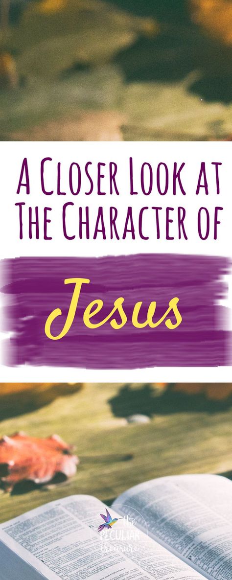 The Character of Jesus Book Of Hebrews, Encouragement For Today, Christian Content, Who Is Jesus, Walk With God, Womens Bible Study, Bible Study Lessons, About Jesus, Bible Devotions