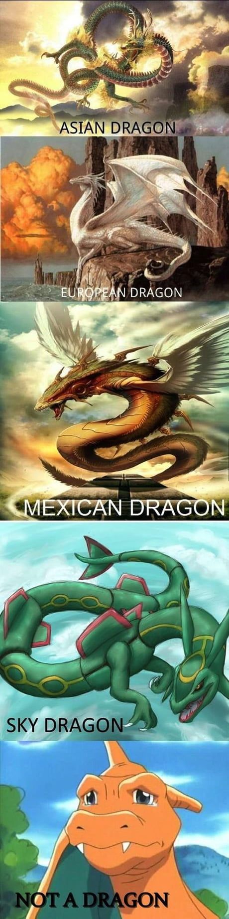 Settling the Dragon Debate once and for all. Quetzalcoatl Art, Pokemon Mew, Asian Dragon, Pokemon Memes, Dragon Pictures, Pokemon Funny, Dragon Artwork, Mythical Creatures Art, Mythological Creatures