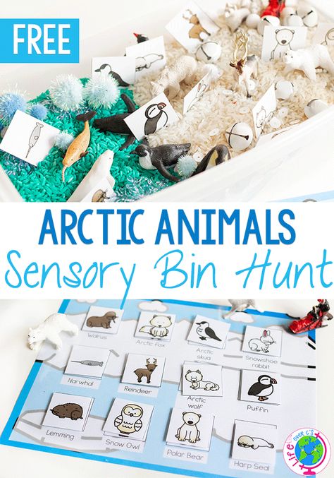 Arctic Animal Sensory, Animal Sensory Bin, Sensory Bin Preschool, Polar Animals Preschool, Winter Animals Preschool, Arctic Animals Activities, Arctic Animals Preschool, Winter Sensory Bin, Animal Matching Game