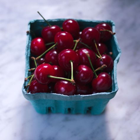 sour cherries Honeydew Recipes, Honeydew Recipe, Sour Cherry Recipes, Cherry Bounce, Sour Cherry Pie, Ale Recipe, Bourbon Cherries, Cherry Cordial, Sour Cherries