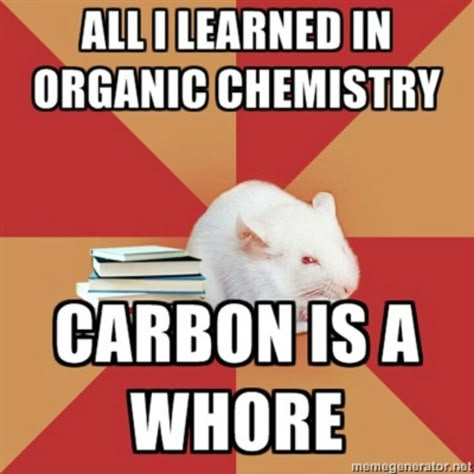 Chemistry Memes, Science Humour, Study Memes, Biology Memes, Biology Humor, Nerdy Jokes, Nerd Memes, Nerdy Humor, Studying Memes