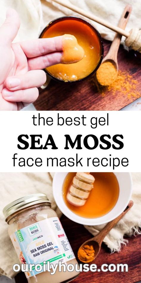 Sea Moss Scrub Recipe, Sea Moss Face Mask Benefits, Sea Moss Face Mask Diy, Seamoss Facial Mask, Sea Moss Gel Face Mask, Seamoss Face Mask Recipe, Seamoss Gel Face Mask, Sea Moss Mask, Sea Moss Skin Care