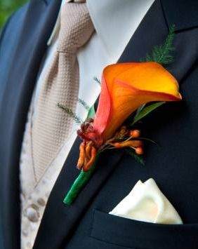 Flame Calla Lily with Kangaroo Paw Orange Buttonhole, Groom In Tuxedo, Orange Calla Lily, Lily Corsage, Bracelet Corsage, Calla Lily Boutonniere, Buttonhole Flowers, Orange Wedding Flowers, Fall Wedding Bouquets