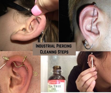 It is something the new generation loves a lot. And in order to get it done, most of the time, they go for industrial piercing. But what is the most neglected thing is the Industrial piercing cleaning. How To Clean Industrial Piercing, Industrial Piercing Healing Process, Industrial Piercing Infected, Industrial Piercing Aesthetic, Cute Industrial Piercing, Piercing Cleaning, Best Cleaner, Industrial Piercing, Get It Done