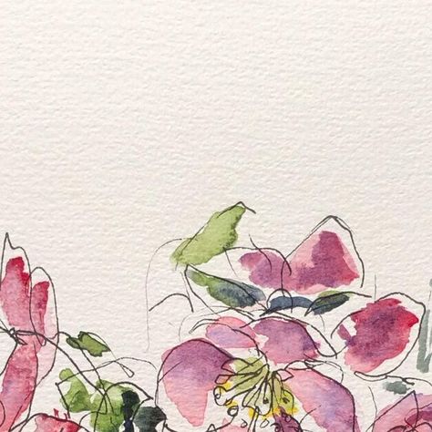 Purple Hellebore, Hellebore Flower, Fountain Pen Drawing, Loose Watercolor Flowers, Botanical Drawing, Watercolour And Ink, Pinkish Purple, Flower Sketches, Loose Watercolor