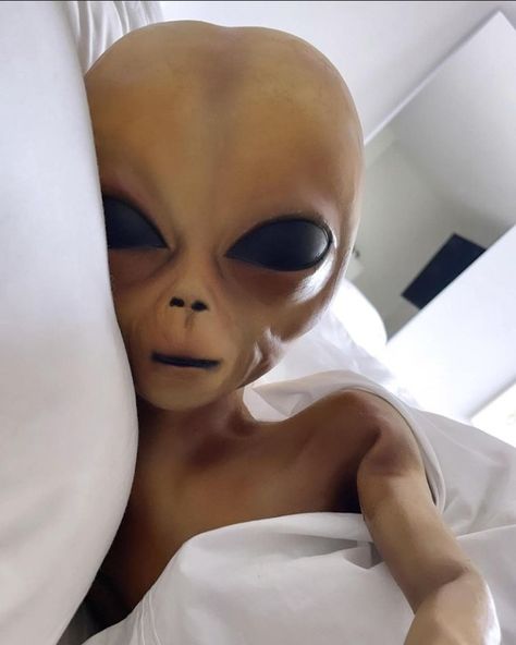 Alien Selfie, Alien Pfp, Paul The Alien, Lil Mayo, Alien Meme, Alien Eyes, Alien Pictures, Alien Photos, Luxury Birthday Gifts