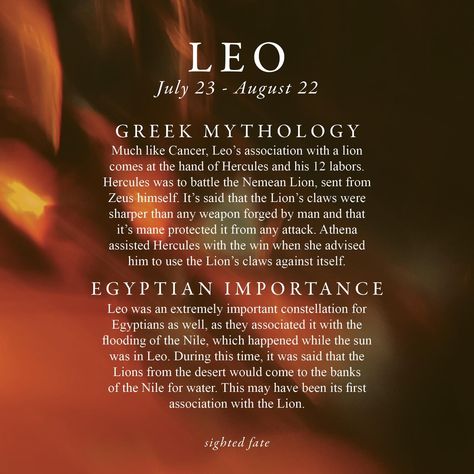 Leo Sun Aesthetic, Leo Witch, Leo Core, Sun In Leo, Leo Things, Leo Aesthetic, Infj Traits, Astrology 101, Leo Energy