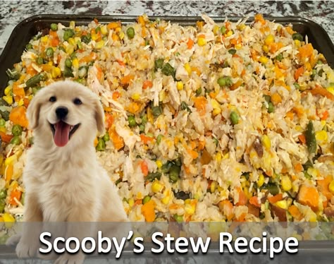 Dog Diaherra Food, Dog Stew Recipe, Scooby Doo Food Recipes, Homemade Dog Food With Chicken, Crockpot Dog Food Recipes Chicken, Scooby Stew For Dogs, Homemade Dog Food Crockpot, Low Fat Dog Food, Dog Food Recipes Crockpot