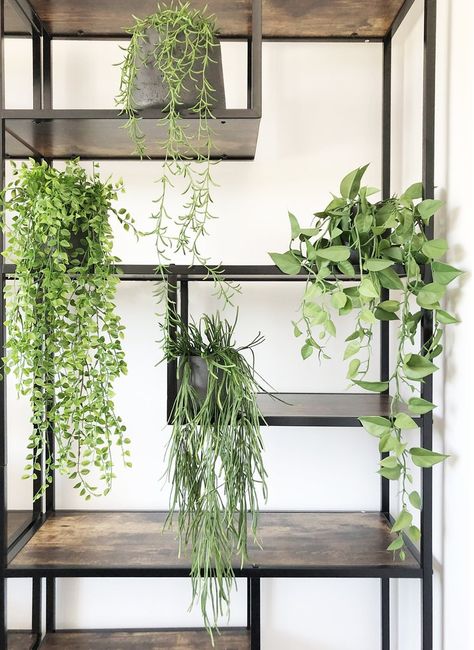 Trailing Philodendron, Decorate Shelves, Faux Plants Decor, Artificial Hanging Baskets, Potted Ferns, Fake Hanging Plants, Indoor Plant Wall, Plant Installation, Hanging Plant Wall