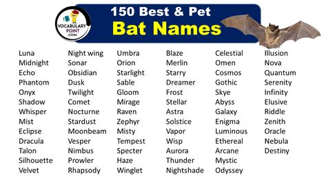 Bats have long been the enigmatic creatures of the night, shrouded in myth and mystery. From their haunting appearance to their extraordinary ability to navigate through darkness using echolocation, these winged wonders continue to capture our fascination. But have you ever wondered about the names behind these captivating creatures? In this article, we will delve ... <a title="150 Bat Names (Pet, Cute & funny)" class="read-more" href="https://vocabularypoint.com/bat-names/" aria-labe... Bat Animal, Name Inspiration, Cute Bat, Cute Names, Creatures Of The Night, Pet Names, Hush Hush, Dolls Kill, The Dreamers