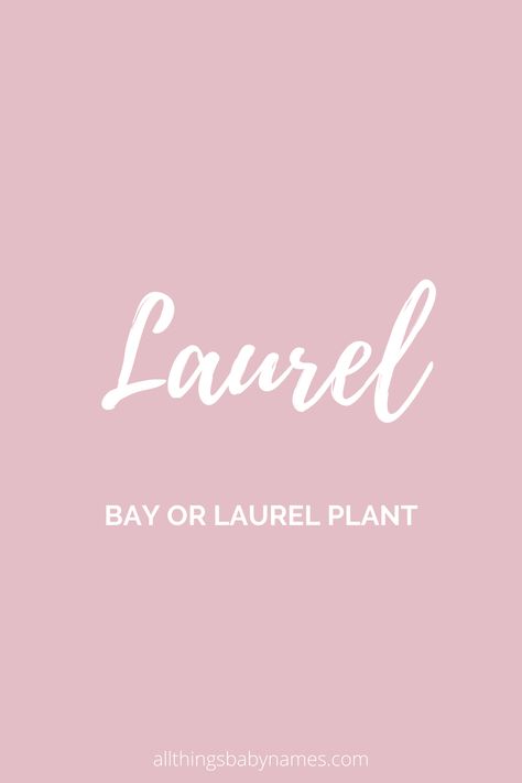 Laurel name meaning, origin and more. View our database of thousands of baby names and curated name lists to help you find the perfect name for your baby. Laurel Name Meaning, Laurel Name, Laurel Meaning, Autumn Name, Laurel Plant, Baby Name Meaning, Rare Names, Fantasy Character Names, Uncommon Baby Names