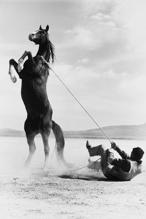 Ernst Haas- Stuntman with Mustang The Scorpio Races, Man Down, Black White Photos, Horse Love, Wild Horses, A Horse, Beautiful Horses, In The Woods, Wild West