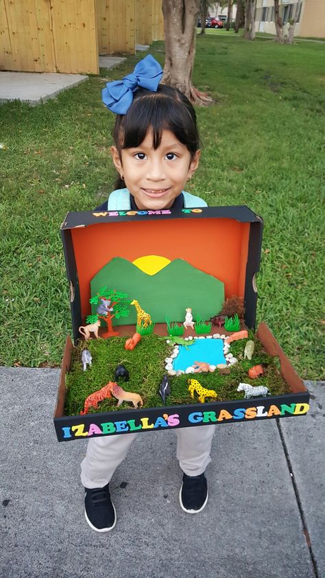 Grassland Diorama Grasslands Diorama School Projects, Giraffe Habitat Project For Kids, Grassland Ecosystem Project, Kids Diorama Ideas, Grasslands Habitat Project, Grassland Biome Project, Grasslands Diorama, Giraffe Diorama, Grassland Diorama