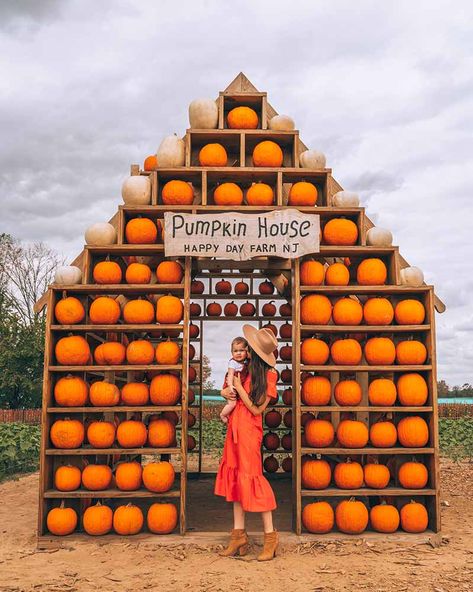 Pumpkin Photo Op Ideas, Pumpkin Patch Photo Backdrop, Pumpkin Displays Outside, Halloween Pumpkin Display, Pumpkin Patch Ideas, Pumpkin Train, Pumpkin Patch Business, Pumpkin Houses, Pumpkin Patch Aesthetic