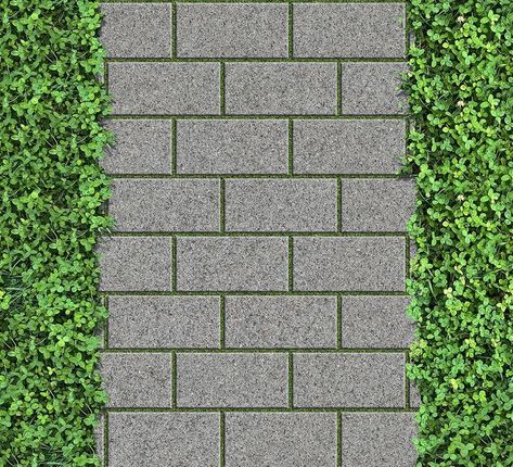 Sidewalk Texture, Ground Texture, Green Corridor, Texture Png, Flooring Texture, Cobble Stone, Tiles Designs, Tropical Garden Design, Architectural Materials