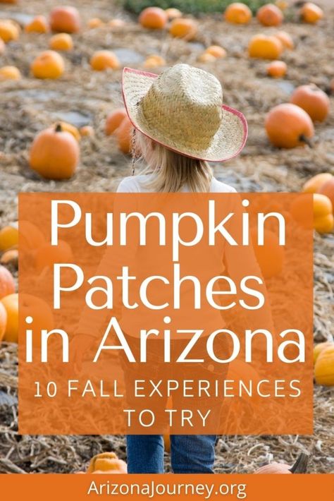 Where to find the best pumpkin patch in Arizona: 11 festive fall spots | Arizona Journey Places To Go In Arizona, Phoenix Things To Do, Things To Do In Arizona, Travel Arizona, Pumpkin Varieties, Best Pumpkin Patches, Family Friendly Games, Fall Road Trip, Arizona Road Trip