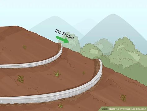 How to Prevent Soil Erosion: 15 Steps (with Pictures) - wikiHow Soil Erosion, Sloped Yard, Diy Pond, Water Grass, Sloped Garden, Erosion Control, Human Activity, Top Soil, Ornamental Grasses