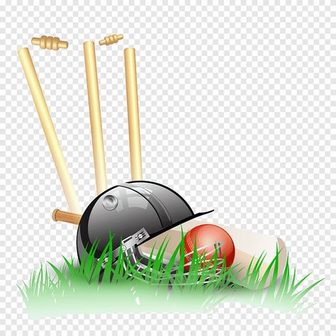 Cricket Png, Astronaut Drawing, Cricket Stump, England Cricket Team, Pine Tree Painting, Baseball Helmet, Baseball Balls, Abstract Flower Art, Watercolor On Wood