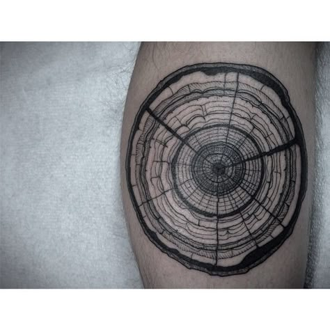 Tree trunks all day. #blackwork #blackworkerssubmission #tattoo #treetrunk Trunk Rings, Tree Ring Tattoo, Geometric Tattoo Tree, Full Circle Tattoo, Wood Tattoo, Viking Bear, Ring Tattoo, Mother Nature Tattoos, Tattoo Nature