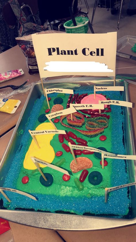 Plant Cell Project Cake, Plant Cell Cake Project, Biology Cake Ideas, Edible Plant Cell Project, Plant Cell Cake Model, Plant Cells Project Ideas, Plant Cell Cake, Animal Cell Model Project, 3d Plant Cell