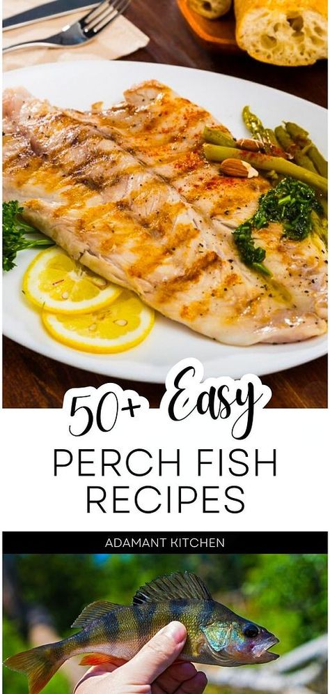 Discover 50+ easy perch fish recipes in our meat dinners & meat recipes category. Whether you're looking for a quick dinner solution or a savory appetizer, these perch recipes are straightforward and satisfying, suitable for any cooking level. Delve into more whole food recipes and real food recipes at adamantkitchen.com Sea Perch Recipes, Fresh Perch Fish Recipes, Baked Ocean Perch Fillet Recipes, Grilled Perch Fish Recipes, Yellow Perch Recipes, Freshwater Fish Recipes, Pan Fried Perch Fish Recipes, Perch Fish Recipes Baked, Nile Perch Fish Recipe