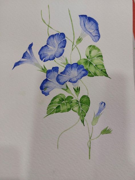 Morning Glory Watercolor Tutorial, Watercolor Morning Glory, Floral Watercolor Paintings, Cherry Flower, Watercolor Art Lessons, Abstract Line Art, Flower Art Painting, Watercolour Tutorials, Morning Glory