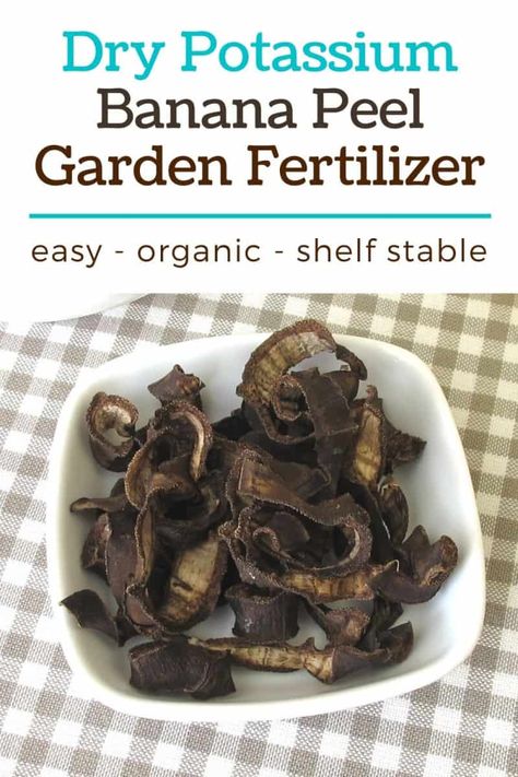 Don't throw out those banana peels! Make a natural fertilizer for your garden! Try this dry banana peel diy homemade fertilizer for your vegetable garden today! Easy enough for beginning gardeners! #gardening #beginners #homesteading Farmhouse Gardens, Homemade Plant Fertilizer, Gardening Beginners, Homemade Fertilizer, Dehydrated Bananas, Cooking Bananas, How To Grow Bananas, Plant Fertilizer, Banana Peels