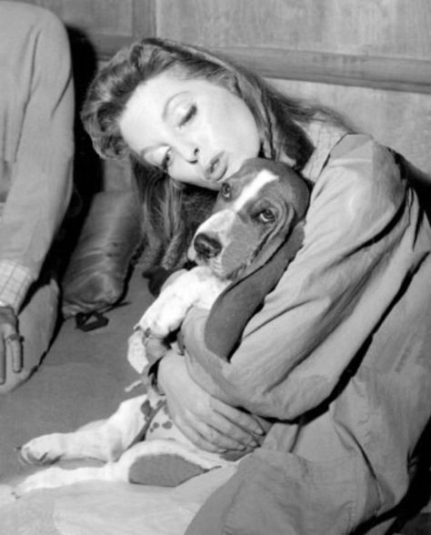 26 Celebrities With Basset Hounds – Page 6 – The Paws Basset Hound Funny, Basset Hound Art, Best Text, Hounds Of Love, Julie London, Celebrity Dogs, Alien 1979, Hound Dogs, Hound Puppies